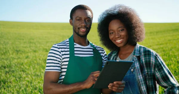 Engenheiros multirraciais masculinos e femininos usando tablet digital enquanto inspecionam a construção de negócios agrícolas orgânicos de efeito estufa. Agricultores multi-sexo. Homem e mulher. Conceito de Agronomia — Fotografia de Stock