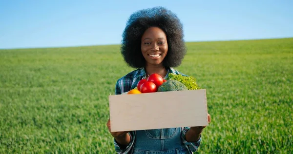 Jardineiro fêmea multirracial cheira e mostrando à câmera tomates frescos na plantação verde. Especialista em estufas, agronomia e conceito de bio agricultura — Fotografia de Stock