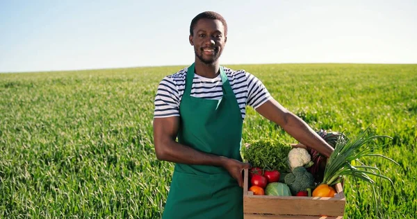 Portrait of multiracial male farmer walking through the large green multi-colored rural field and carrying box with vegetables. Proud man. Domestic agribusiness and organic farming concept