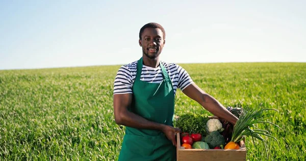 Retrato de fazendeiro macho multirracial caminhando pelo grande campo rural verde multi-colorido e carregando caixa com legumes. Homem orgulhoso. Conceito de agronegócio doméstico e agricultura biológica — Fotografia de Stock