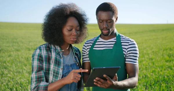 Multiracial two attractive young farmers experts browsing tablet computer applications while examining green crops at the field walking at the ecological organic farm garden — Stock Photo, Image