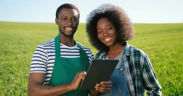 Multirracial dois jovens agricultores atraentes especialistas navegando aplicativos de computador tablet enquanto examina culturas verdes no campo caminhando no jardim ecológico da fazenda orgânica — Fotografia de Stock