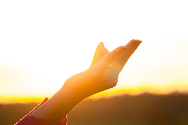 Cierra Las Manos Mujer Hacer Yoga Aire Libre Concepto Salud — Foto de Stock