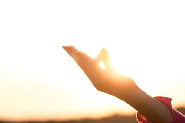 Cierra Las Manos Mujer Hacer Yoga Aire Libre Concepto Salud — Foto de Stock