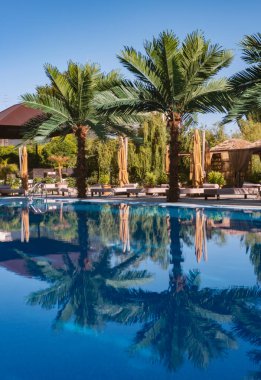 Lüks tropik tatil köyünde yüzme havuzu. Lüks tropikal tatil beldesindeki plaj salonlarıyla yüzme havuzu..