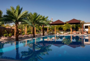 Tropik bir tatil köyünde güneşli yataklı ve palmiye ağaçlı bir otel havuzu. Lüks tropik tatil köyünde yüzme havuzu