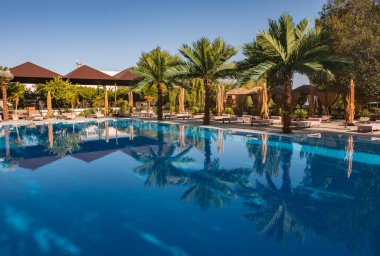 Tropik bir tatil köyünde güneşli yataklı ve palmiye ağaçlı bir otel havuzu. Lüks tropik tatil köyünde yüzme havuzu