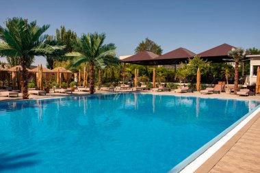 Tropik bir tatil köyünde güneşli yataklı ve palmiye ağaçlı bir otel havuzu. Lüks tropik tatil köyünde yüzme havuzu