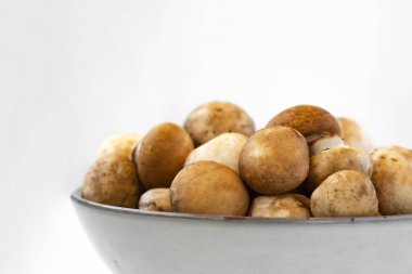 Beyaz arka planda kasede mantar şampiyonu