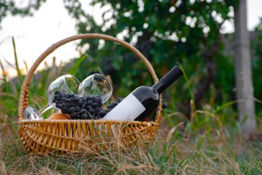 Kırmızı şarap ve yeşil çimenlikte meyveli piknik sepeti .