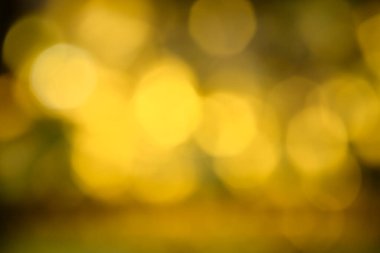 Bokeh soyut dokusu. Renkli. Odaklanmamış arka plan. Bulanık parlak ışık. Dairesel noktalar.