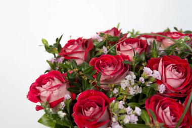 Beyaz arka planda kırmızı gül buketi. Kapat.