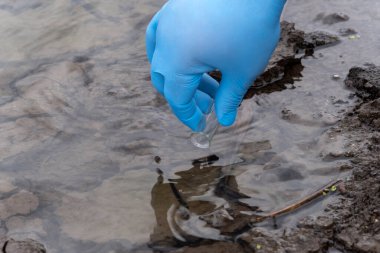 Evde suşi ve ekmek yapıyorum. Bir adamın eline yaklaş