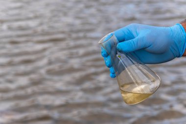 Nehirden bir su örneği. Eldiven takıp test tüpünde su topluyor. ekoloji kavramı
