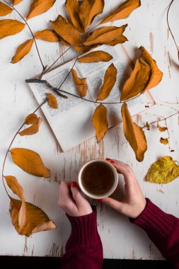 Süveter tutan kadın elleri çay fincanı ve eski ahşap masa üzerinde kurumuş yaprak açık kitap. Sonbahar konsepti. Yaklaş, seçici odaklanma