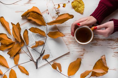 Kadın eli sıcak bir fincan çay tutar. Yünlü kazak. Eski bir arka planda sonbahar yaprakları ve açık bir kitap. Kavram - bir sonbahar akşamında sıcak tutmak