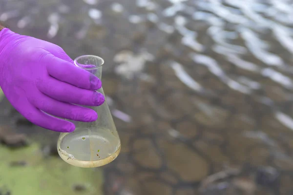 Δείγμα Νερού Από Ποτάμι Χέρι Γάντι Συλλέγει Νερό Δοκιμαστικό Σωλήνα — Φωτογραφία Αρχείου