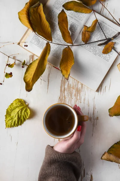 Female Hands Hold Hot Cup Tea Woolen Sweater Vintage Background — Stock Photo, Image