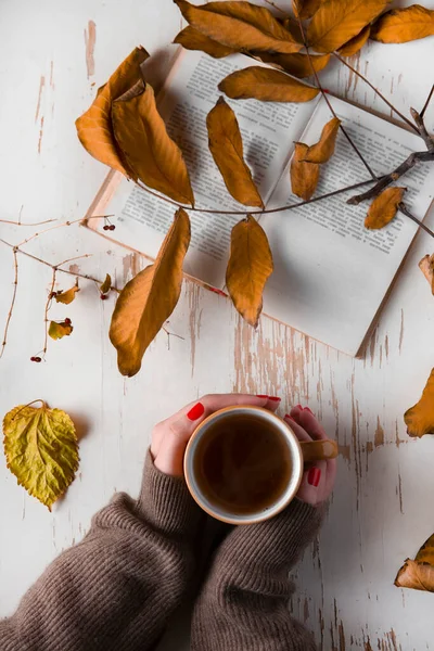 Woman Hands Sweater Holding Cup Tea Open Book Dry Fallen — Stock Photo, Image