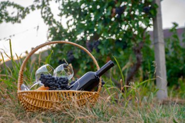 Kırmızı şarap ve yeşil çimenlikte meyveli piknik sepeti .