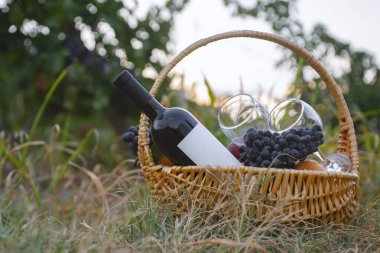 Kırmızı şarap ve yeşil çimenlikte meyveli piknik sepeti .