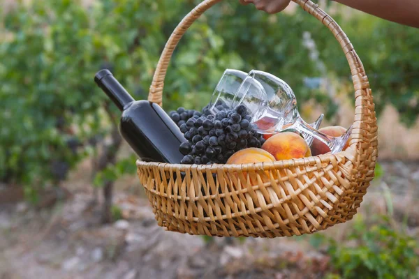 Kız Kırmızı Şarap Meyveli Bir Piknik Sepeti Taşıyor — Stok fotoğraf
