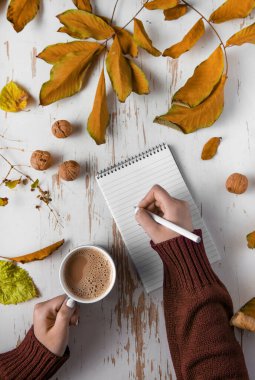 Sarı yapraklı, cevizli ve kalemli eski püskü kahve bardağını tutan kadın ellerinin üst görüntüsü.
