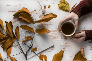 Kadın eli sıcak bir fincan çay tutar. Yünlü kazak. Eski bir arka planda sonbahar yaprakları ve açık bir kitap. Kavram - bir sonbahar akşamında sıcak tutmak