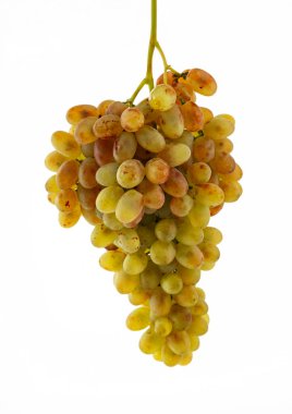 Beyaz arka planda izole edilmiş bir sürü beyaz üzüm. Stüdyo çekimi.