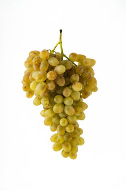 Beyaz arka planda izole edilmiş bir sürü beyaz üzüm. Stüdyo çekimi.