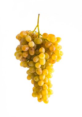 Beyaz arka planda izole edilmiş bir sürü beyaz üzüm. Stüdyo çekimi.