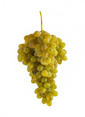 Beyaz arka planda izole edilmiş bir sürü beyaz üzüm. Stüdyo çekimi.