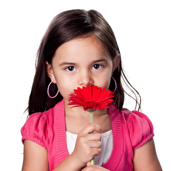 Meisje met bloem in haar haar — Stockfoto