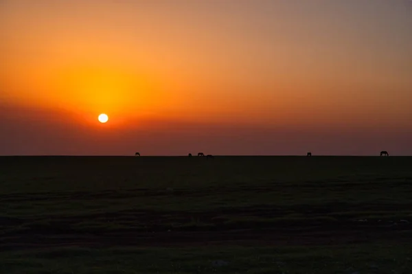 Dawn Bermamyt Plateau — Photo