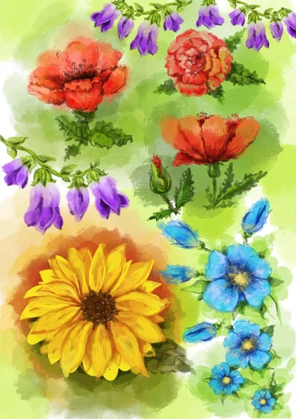 Akvarell Bild Fält Blommande Växter — Stockfoto