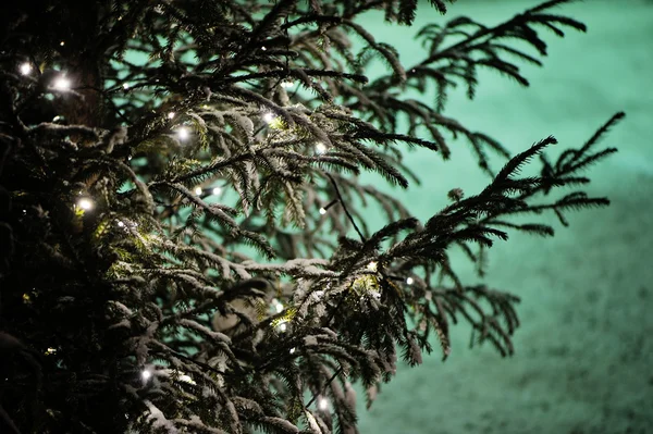Snötäckta utomhus julgran med ljus — Stockfoto