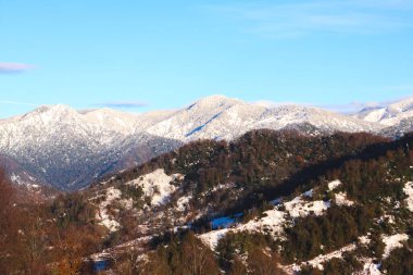 Georgia 'daki Batumi Ulusal Parkı' nda karla kaplı Mtirala Tepesi