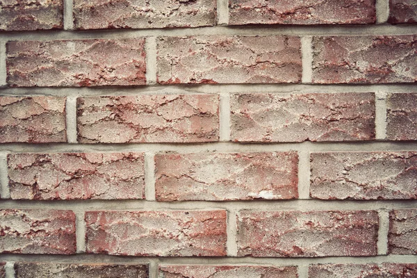벽돌 질감된 벽 배경 이미지 — 스톡 사진