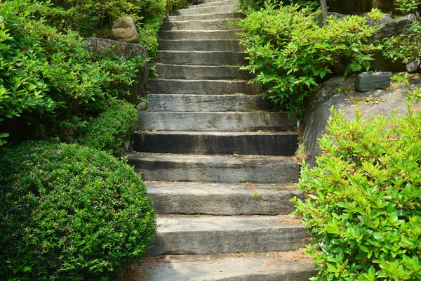 Escalier en bois sur jardin verdoyant — Photo