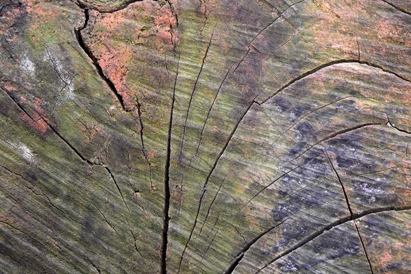 Nahaufnahme Holz geschnitten Textur Hintergrund — Stockfoto