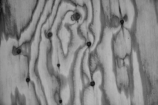 Wood texture background old panels — Stock Photo, Image