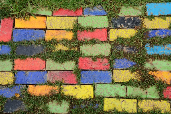 Kleurrijke baksteen met gras — Stockfoto