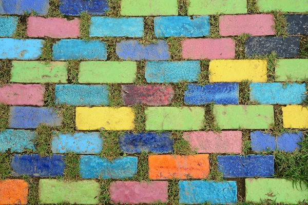 Çim ile renkli tuğla — Stok fotoğraf