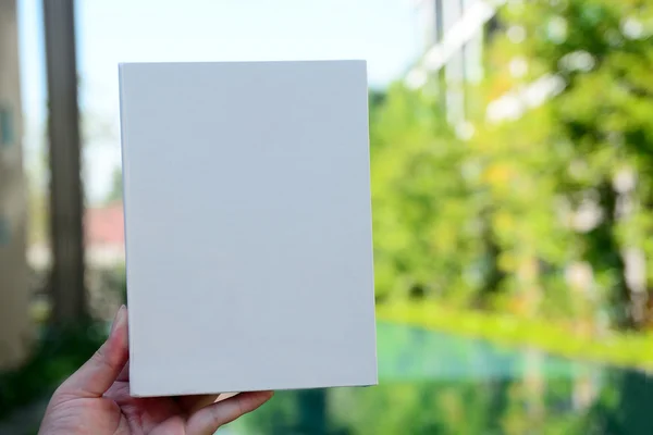 Mano sostiene hoja blanca sobre fondo —  Fotos de Stock