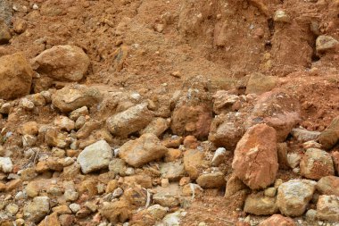 kalmary smażone w sosie