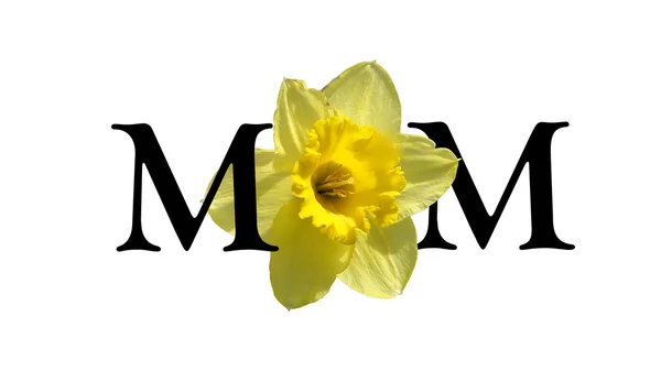 Kraften i Moms blomma — Stockfoto