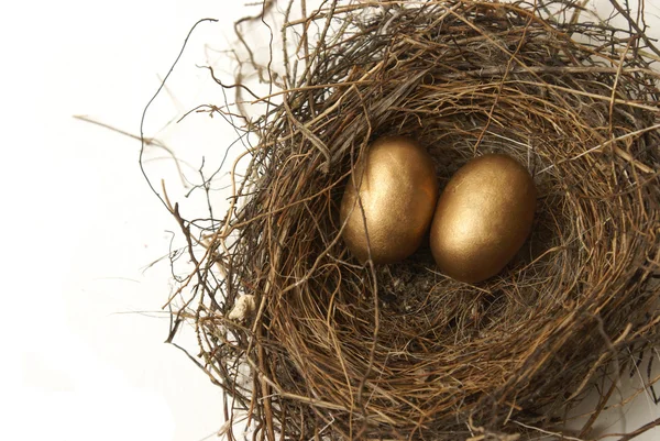 Nest ägg pension — Stockfoto