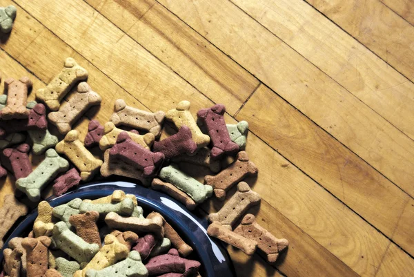 Dog Biscuits Spilled — Stock Photo, Image