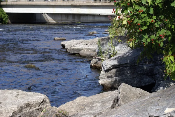 Under the Bridge — Stock Photo, Image