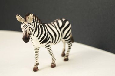 Siyah ve beyaz bir hayvan temalı görüntü konsepti.